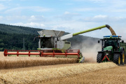 Nuevos criterios fiscales y plazos para el Sistema de Información Simplicado Agrícola