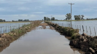 Inundaciones: las lluvias complican a miles de hectáreas de campos bonaerenses