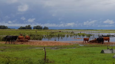 Un proyecto de ley busca reformar el régimen de emergencia agropecuaria