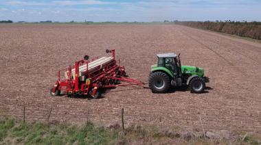 Avance en la siembra de maíz: ya cubre el 33%