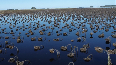 La Provincia declaró la emergencia agropecuaria en diez municipios