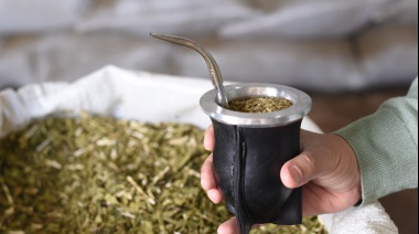 Yerba mate registró récord en 2023: consumo más exportaciones superaron los 325 millones de kilos