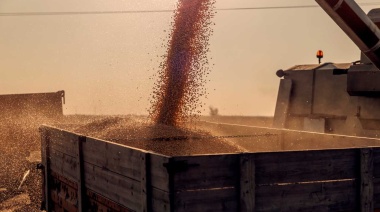 El agro ingresó 1.501 millones de dólares en marzo