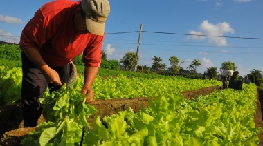 Fijan nuevos salarios mínimos para diversas tareas agrarias