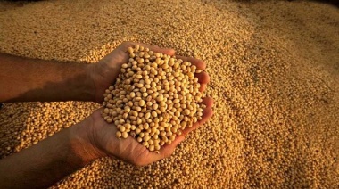 Las exportaciones agroindustriales crecieron 6% en febrero