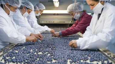 El Gobierno lanzó créditos por $4.500 millones para sectores agroindustriales