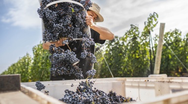 Una bodega invertirá $1.900 millones para duplicar producción de espumantes de exportación