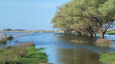 FAO acompaña la recuperación de los sistemas productivos afectados por desastres climáticos