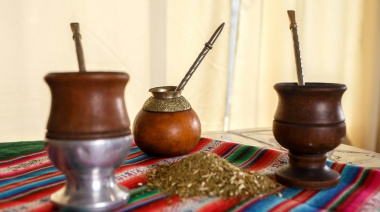 Mínimos históricos en la cosecha de yerba mate y fuerte caída del consumo