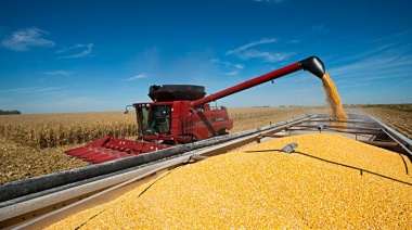 Ingresaron US$ 815 millones en la primera semana de vigencia del dólar agro
