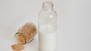 Investigadores del INTA y Conicet logran bebida de origen vegetal de alto valor nutritivo