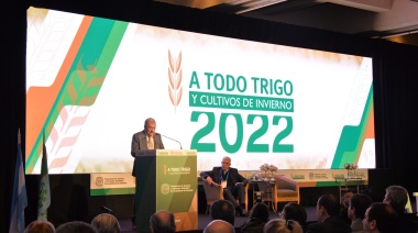 Acopiadores de granos realizarán un congreso para debatir sobre producción y comercio del trigo