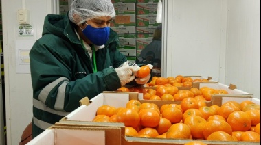Las exportaciones de economías regionales crecieron más del 22%