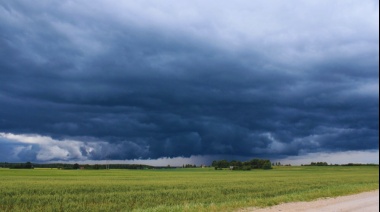 En el INTA ven positivo el adelanto de las lluvias de primavera