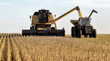 Rindes por debajo de esperados en la cosecha de soja podrían llevar a nuevo recorte en la producción