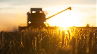 Vuelven a presentar el proyecto de ley de Desarrollo Agroindustrial en Diputados