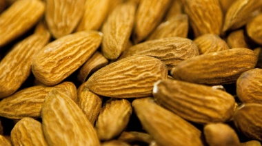 Vilella anunció que se logró abrir las exportaciones de almendras a Brasil