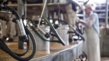 Tamberos bonaerenses agotaron el cupo del BICE en Créditos en Litros de Leche
