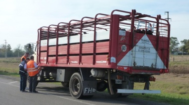 El Senasa lanzó un plan de verificación de transportes