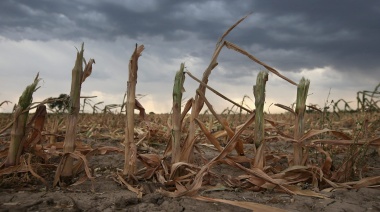 La Provincia declaró la emergencia por sequía a productores de dos distritos