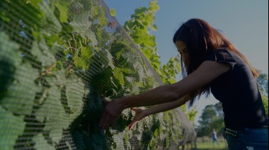 Presentaron proyectos de innovación tecnológica para la actividad agrícola por 2 millones de dólares