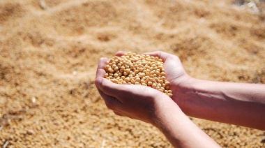 El Gobierno eliminó el Ruca y reformula los registros para el agro: nace el Siocal