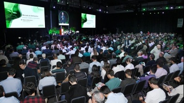 El sistema agrícola argentino sigue extrayendo más de lo que repone