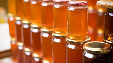 Interna de panal: productores de miel de Tandil poyan la prohibción de ANMAT a una marca local