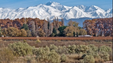 Mañana comienza el Congreso Forestal Argentino y Latinoaméricano