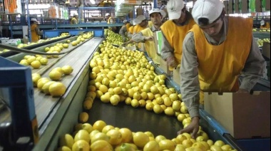 En la ciudad y en el campo: 2 de cada 10 empleos vienen de la agroindustria