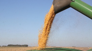 Según FADA, el 59% de la renta en el campo se va en impuestos