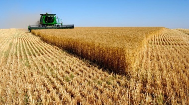 El aporte del Agro a la torta: las cadenas agroindustriales ponen 1 de cada 4 pesos