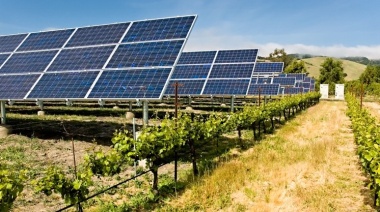 Los granos que nos enchufan y el mundo desconocido de las energías