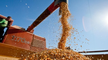 Las exportaciones del agro crecieron un 25% en 2024 y alcanzaron un superávit de US$ 39.000 millones
