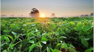 Con el frente climático despejado, el campo espera reglas claras y previsibles para 2024