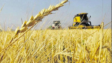 Casi U$S 4000 millones fueron exportados por 68 cooperativas durante el 2022