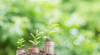 Se realizará una nueva edición del Posgrado en Finanzas Agropecuarias y Ambientales de la UBA y el IICA