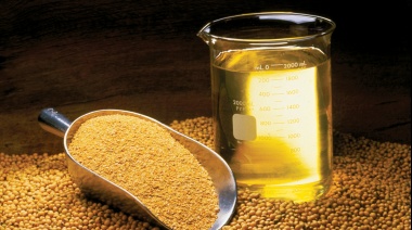 La molienda de oleaginosas cayó un 30% en el primer bimestre