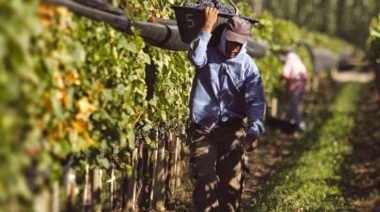 Entidades empresarias y del agro insisten en pedir rebaja de tasa para el cálculo de indemnizaciones