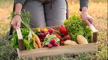 Los precios de los agroalimentos se multiplicaron por 3,5 veces en abril