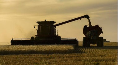 Impuesto Inmobiliario Rural: ¿qué significa el nuevo fallo judicial para los productores bonaerenses?