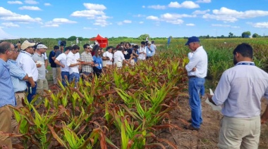 Gran expectativa en el sector por la Expo Prograno de Salta: participarán más de 50 empresas