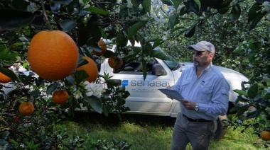 Buscan fortalecer la exportación de cítricos argentinos a la Unión Europea