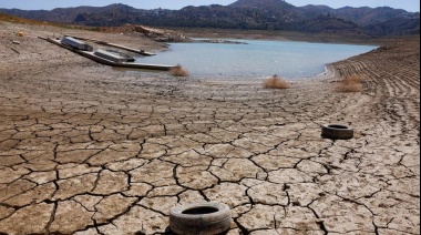 La Provincia declaró la emergencia agropecuaria para municipios afectados por la sequía