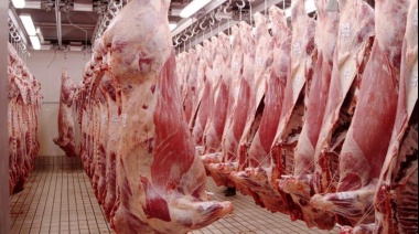 Las exportaciones de carne subieron 9,6% por mayores compras de China y pese a caída del precio