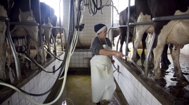 Más de 500 productores bonaerenses ya se inscribieron en Impulso Tambero