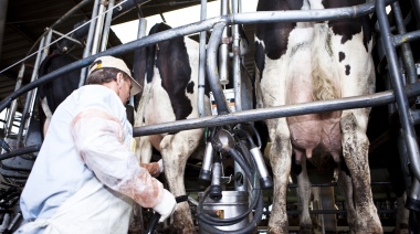 Más de 4500 productores ya recibieron el primer pago de Impulso Tambero