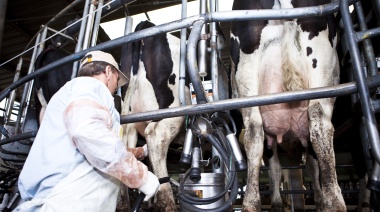 Impulso Tambero: 4571 productores recibirán $5.955 millones