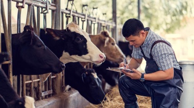 La producción nacional de leche cayó 2%, con un volumen de 11.326 millones de litros