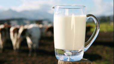 La caída del consumo y de los precios internacionales afectó el precio de la leche cruda